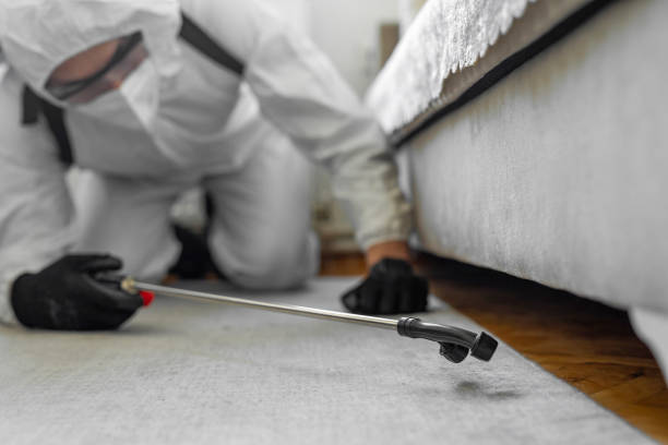 Professional Ant Control technician working in Rockland, ME