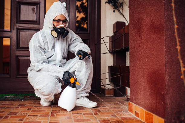 Reliable Ant Control contractor in Rockland, ME by Show Me Pest Control