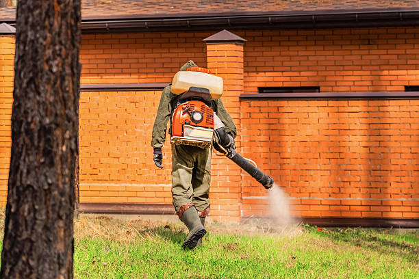 Top rated local Ant Control specialists in Rockland, ME